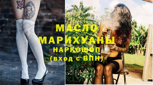 гидра Анжеро-Судженск